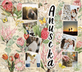 Protea's